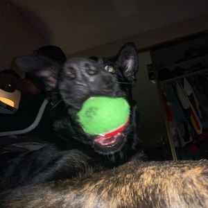 Meet your Posher, Kai-lah camille